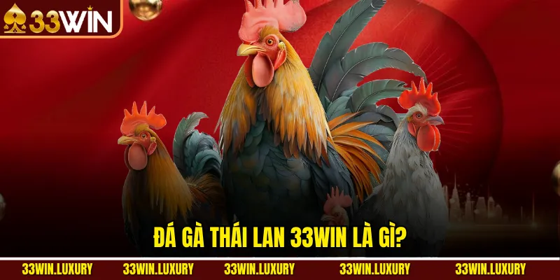 Đá gà Thái Lan 33win là gì?