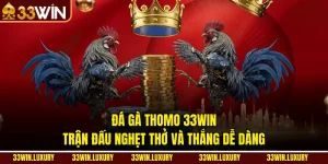 Đá Gà Thomo 33win: Trận Đấu Nghẹt Thở Và Thắng Dễ Dàng