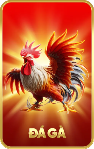 đá gà 33win